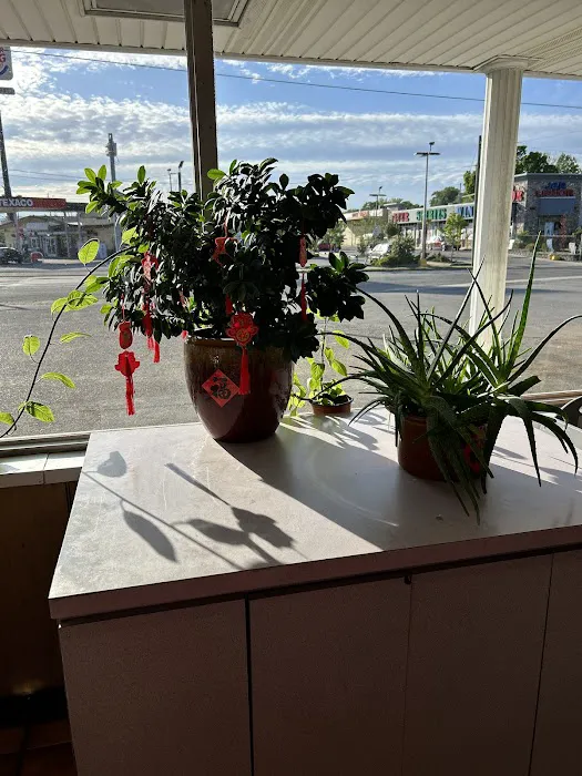 Hunan Wok 1 9