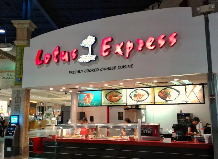 Lotus Express 10
