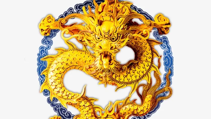 Dragon China 7