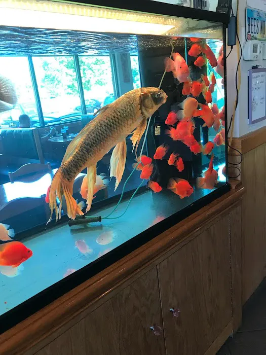 Bee's Buffet 2