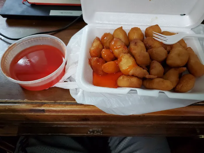 Sun Luck Garden Chinese Food 6