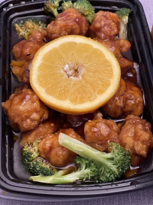 Sun Luck Garden Chinese Food 4