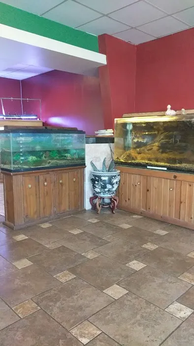 Hong Kong King Buffet 3