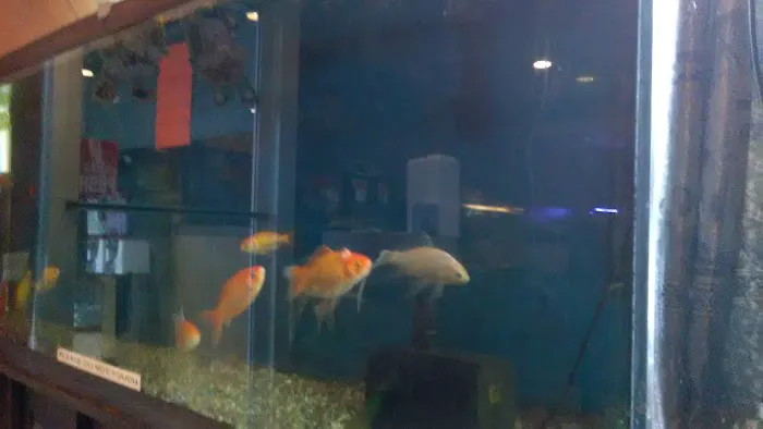 Hong Kong King Buffet 8