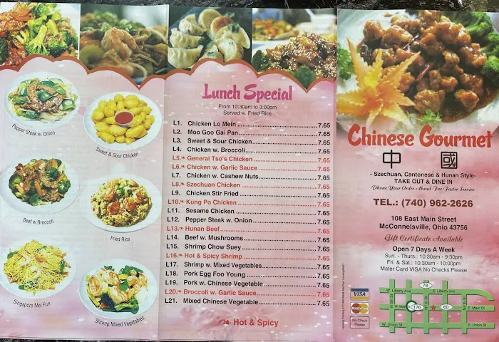 Chinese Gourmet 4