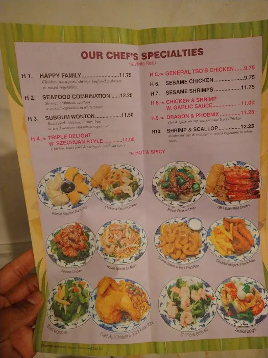 Chinese Fried Chicken 7
