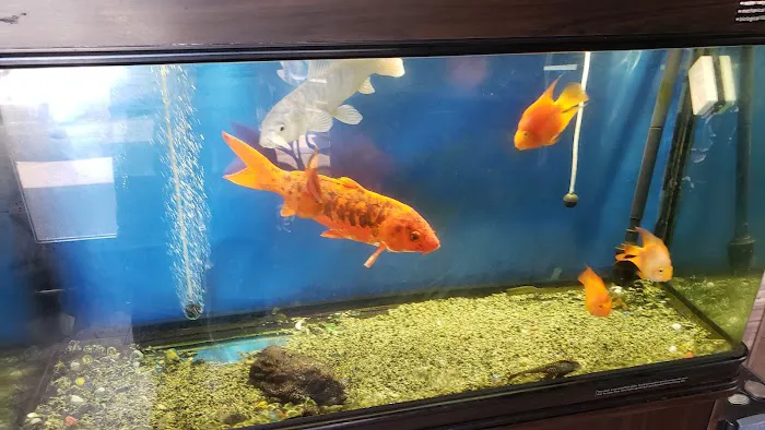 Golden Palace Chinese Restaurant 9