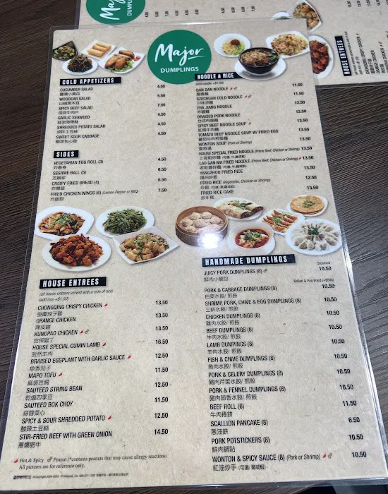 Major Dumplings 7