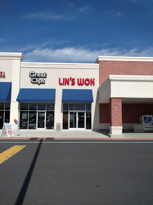 Lins Wok 1