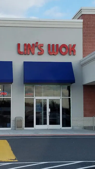 Lins Wok 9