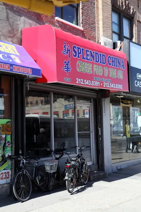 Splendid China 9