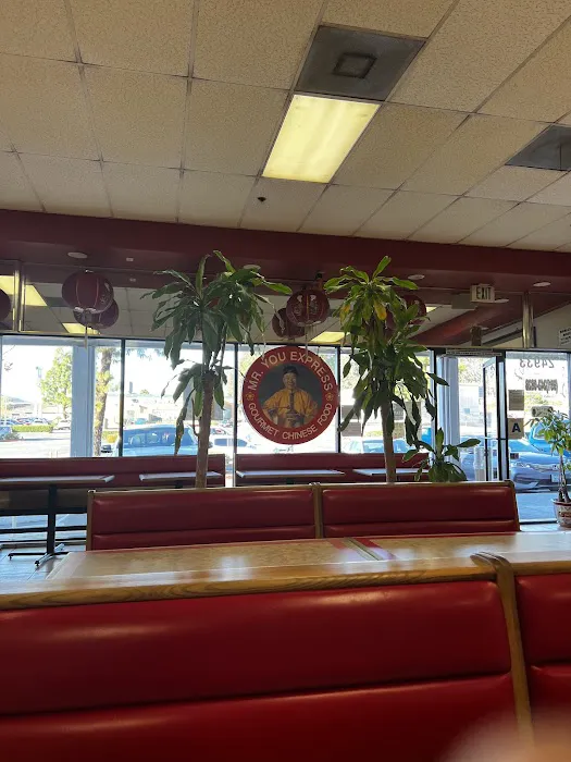 Mr. You Express Chinese Food 6