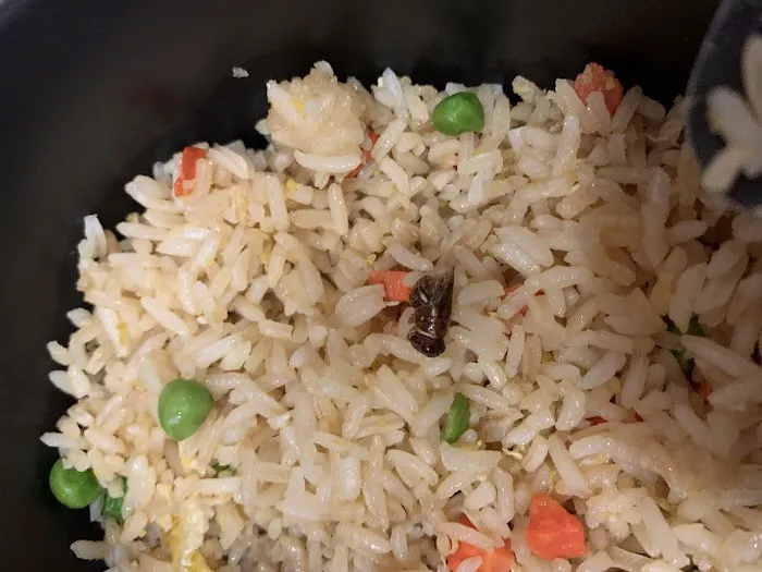 Mr. You Express Chinese Food 7
