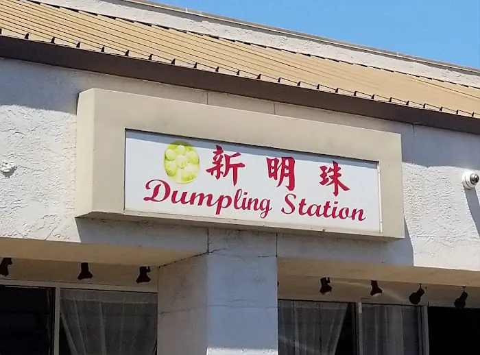 Dumpling Station 4