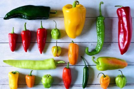 Guide to Chinese Chili Peppers: From Mild to Fiery, Understanding Heat Levels