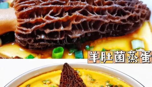  Morel mushroom steamed egg  mushroom stewed egg  nutritious breakfast  custard 