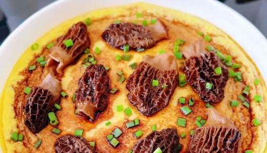 Steamed egg custard with wild morels