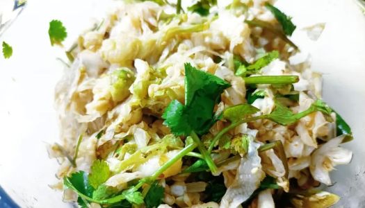 Pickled sour and hot cabbage with side dishes