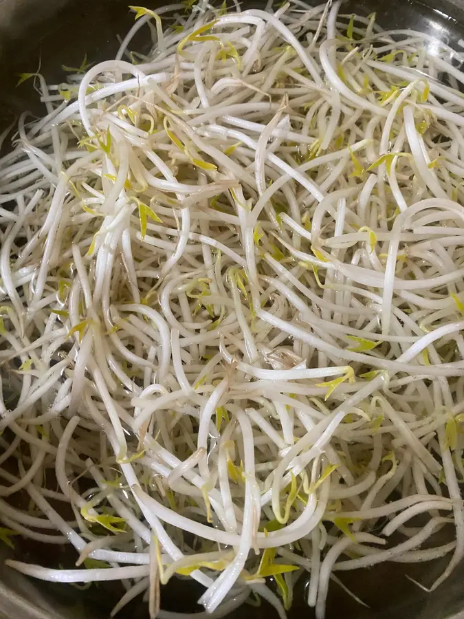 Chilled bean sprouts and lettuce strips step 0