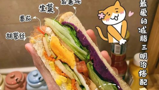 【The best formula for fat loss fast hand sandwich】