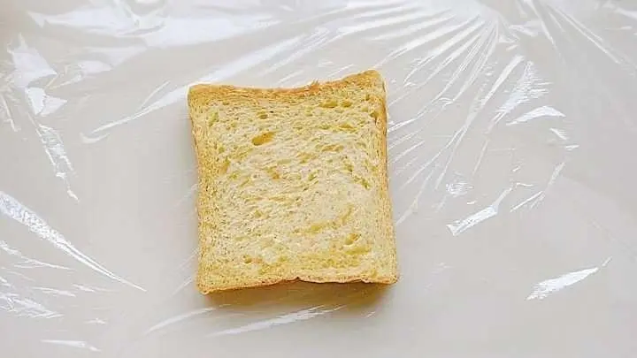 Toast sandwich step 0