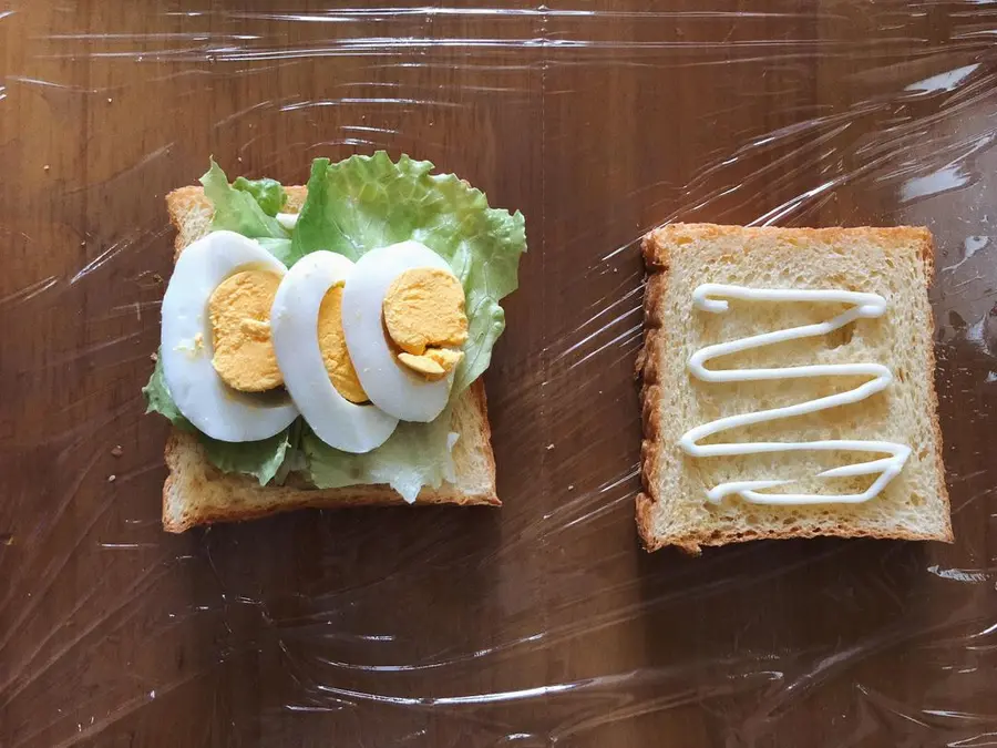 With all the nutrients in place, your day starts with a sandwich  step 0