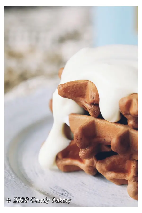 Chocolate Waffles (Toffy Sandwich Maker) step 0