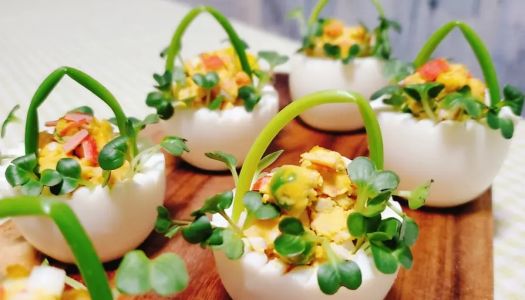  Egg Blossom Basket Salad Flower - Boosts immunity. Low-calorie fat loss 