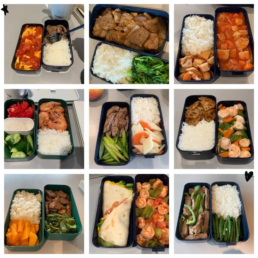 A collection of weekly bento