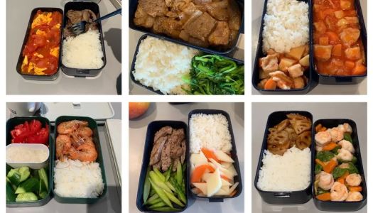 A collection of weekly bento