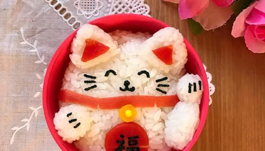 Lucky cat bento