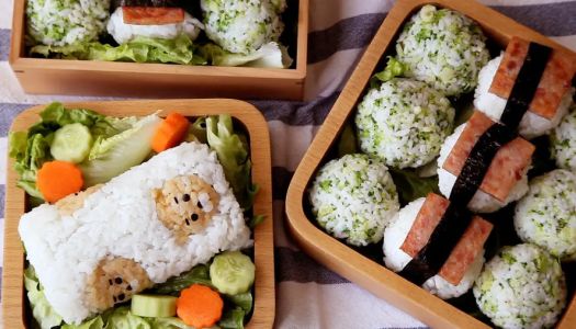 Spring Outing Bento Box/Breakfast Rice Ball (with video)