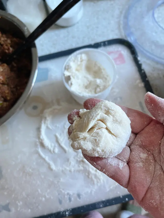 Sauce pork xiaolongbao 99% reduction breakfast shop step 0