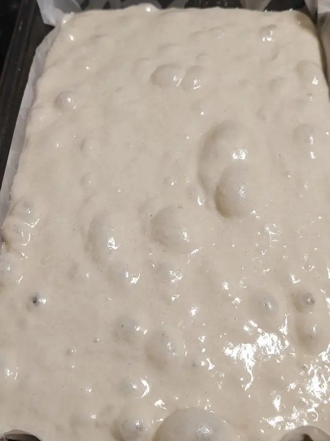 Kneading|Whole wheat focaccia step 0