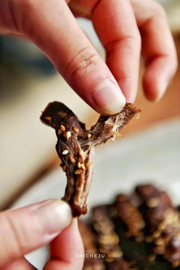 Little snacks for the little ones â€¢ Zero Failure Air Fryer Edition Shredded Beef Jerky step 0