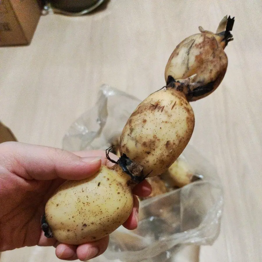 Ancient Lotus Root Juice (Super Fast Hand) step 0