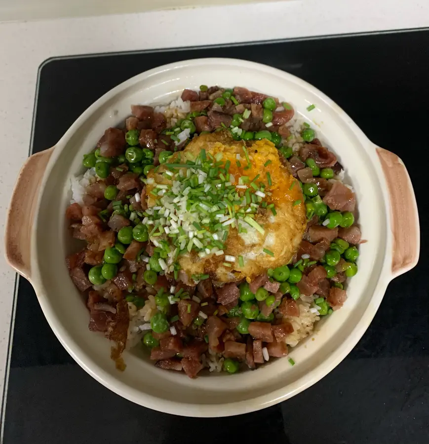 Hand handicap friendly fast claypot rice