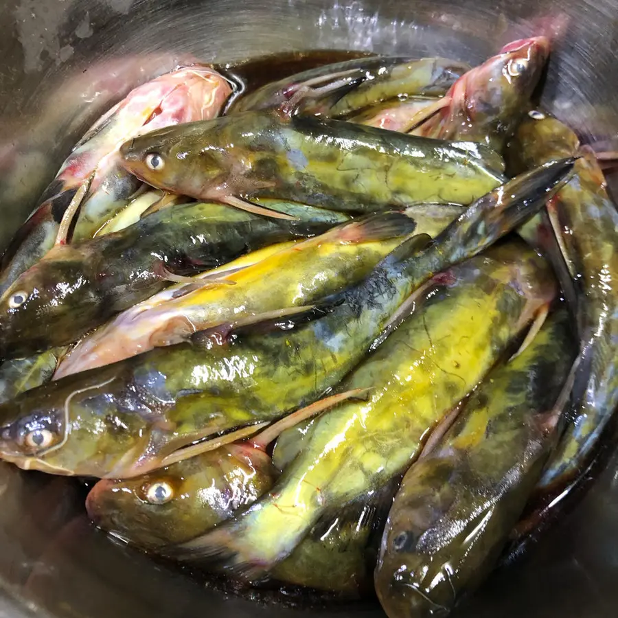 Home-style version - stone pot breeze fish, the tip of the tongue is extremely fragrant and super with rice and wine step 0