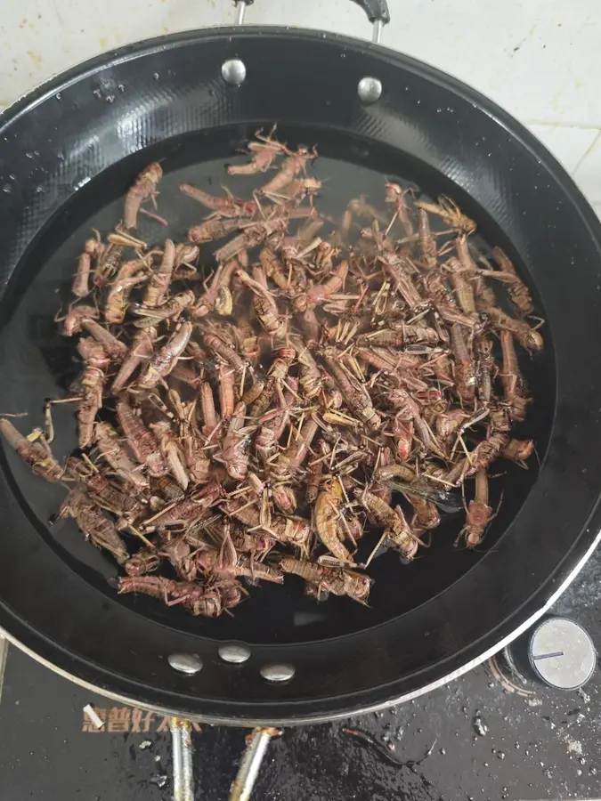 Salt and pepper grasshoppers step 0