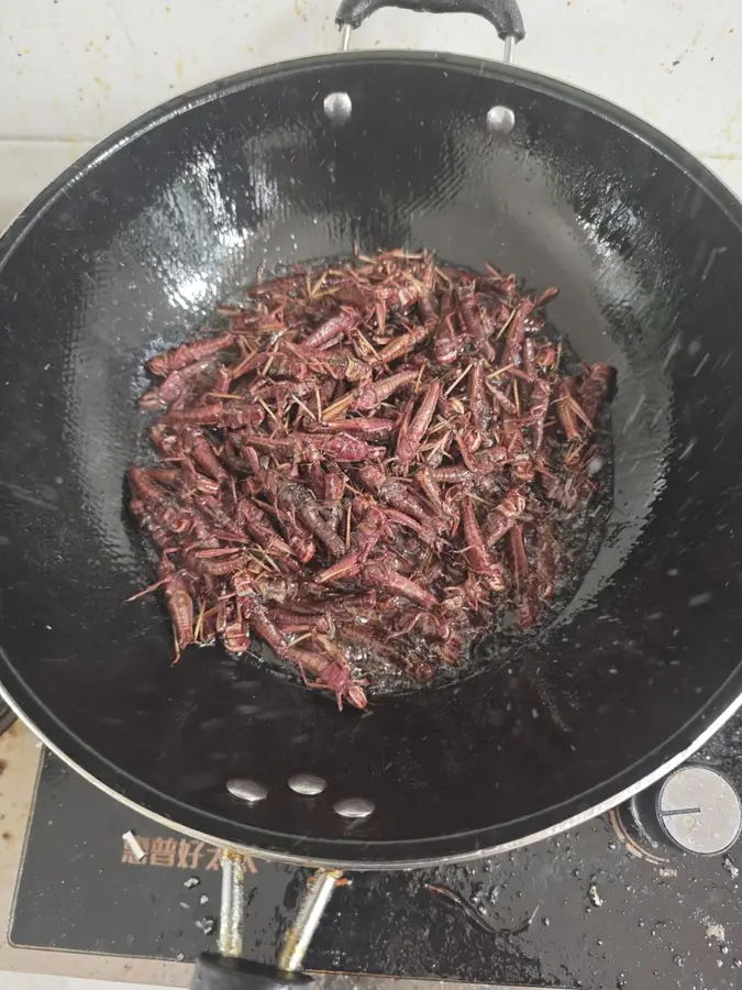 Salt and pepper grasshoppers step 0