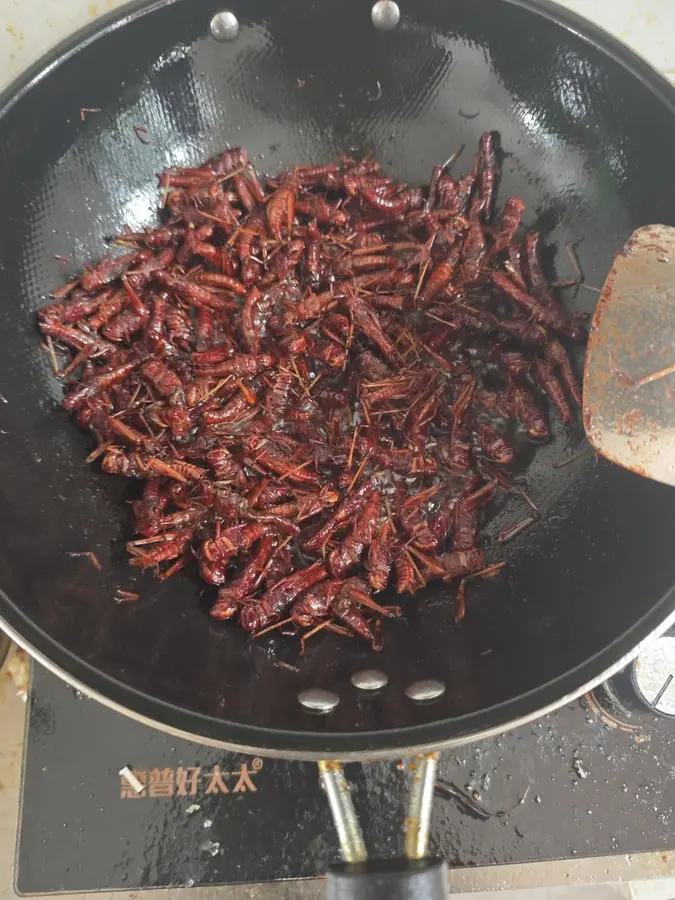 Salt and pepper grasshoppers step 0