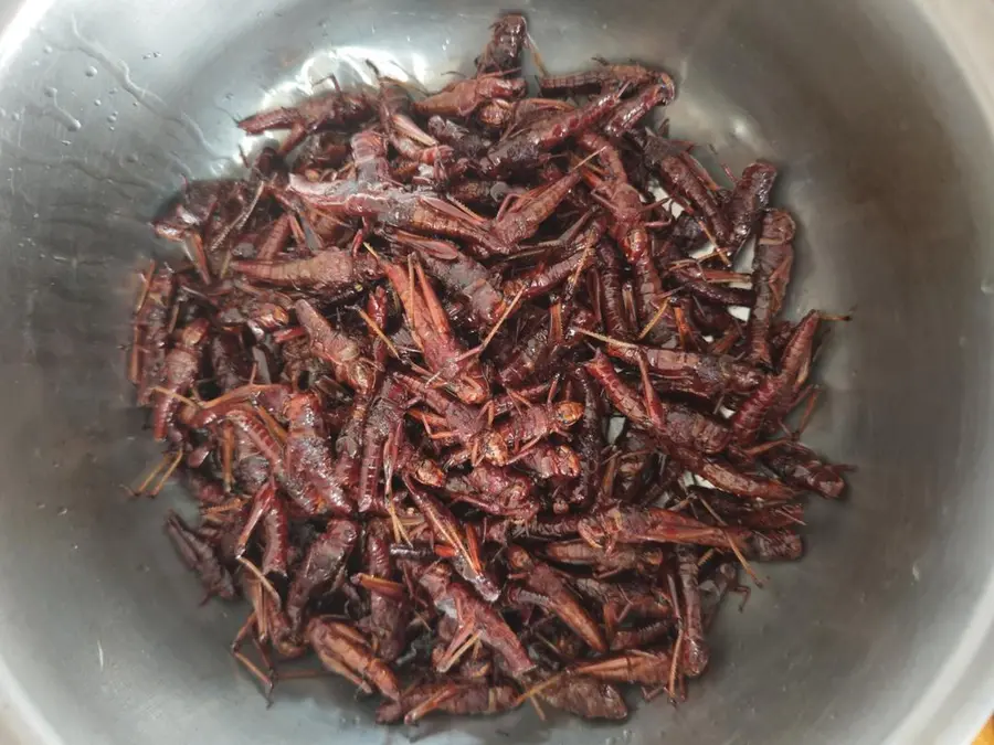 Salt and pepper grasshoppers step 0