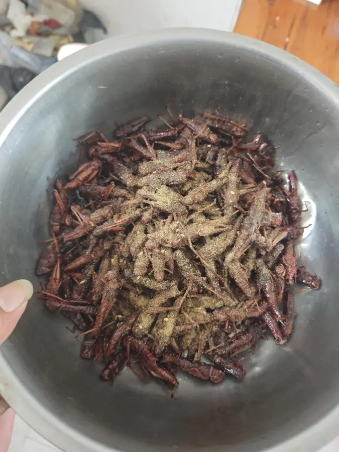 Salt and pepper grasshoppers step 0