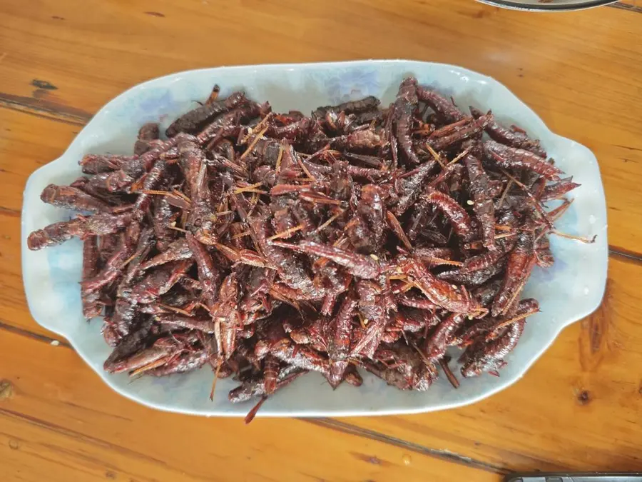 Salt and pepper grasshoppers