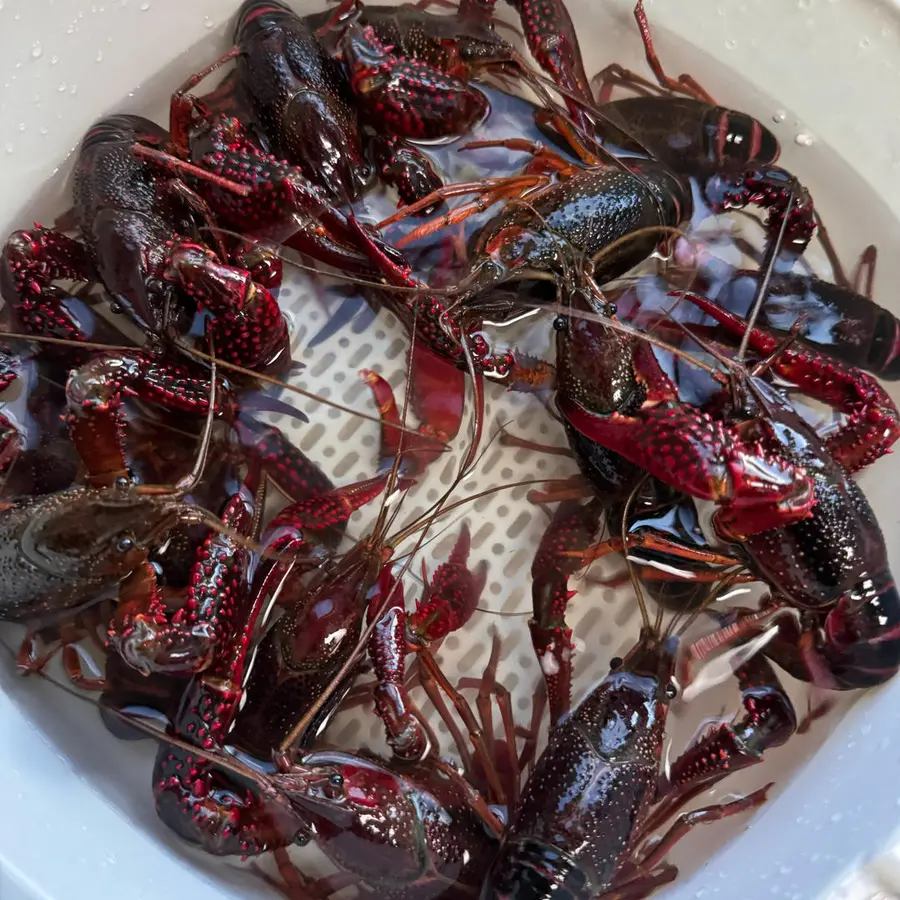 Steamed crayfish  step 0