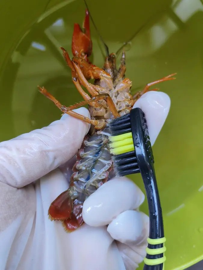 Homemade crayfish for the home version step 0