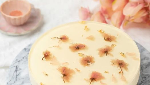 【Valentine's Day Special】Oven-free! Japanese-style cherry blossom cheesecake