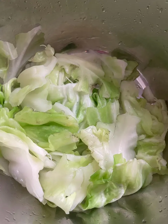 â— Water and oil method shredded cabbage! Crunchy! step 0