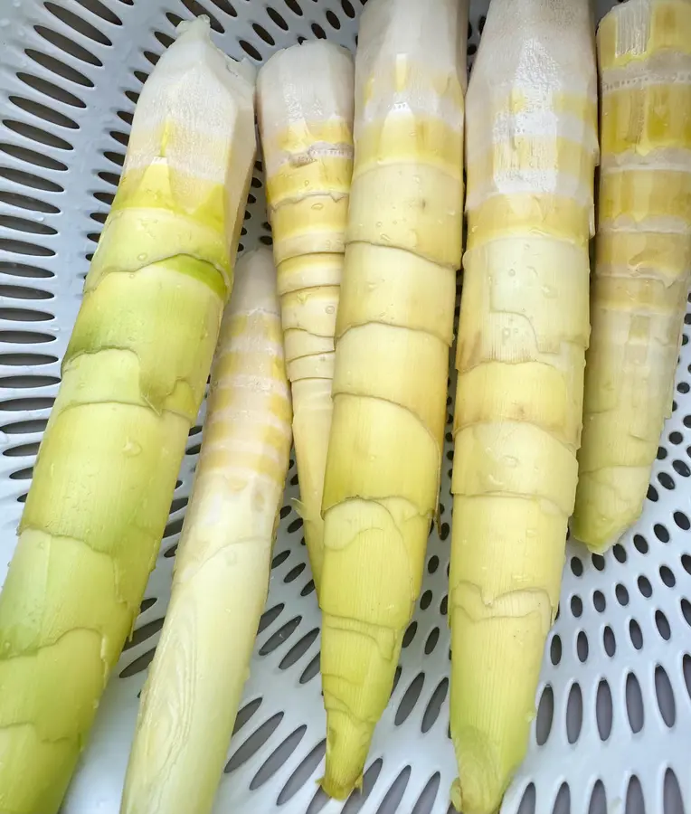 (Vegan) braised spring bamboo shoots in oil step 0