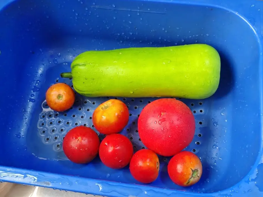 Summer vegetarian ~ night flowering stewed tomatoes step 0